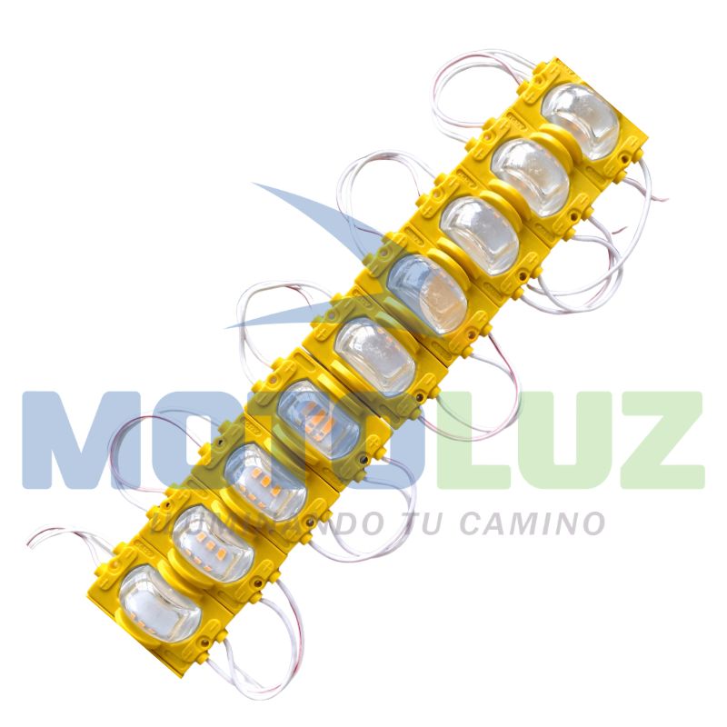 Modulo - Lupa - Imagen 2