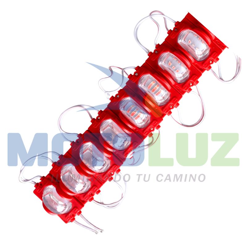 Modulo - Lupa - Imagen 3